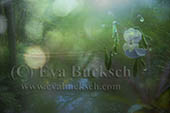 Foto av Eva Bucksch
